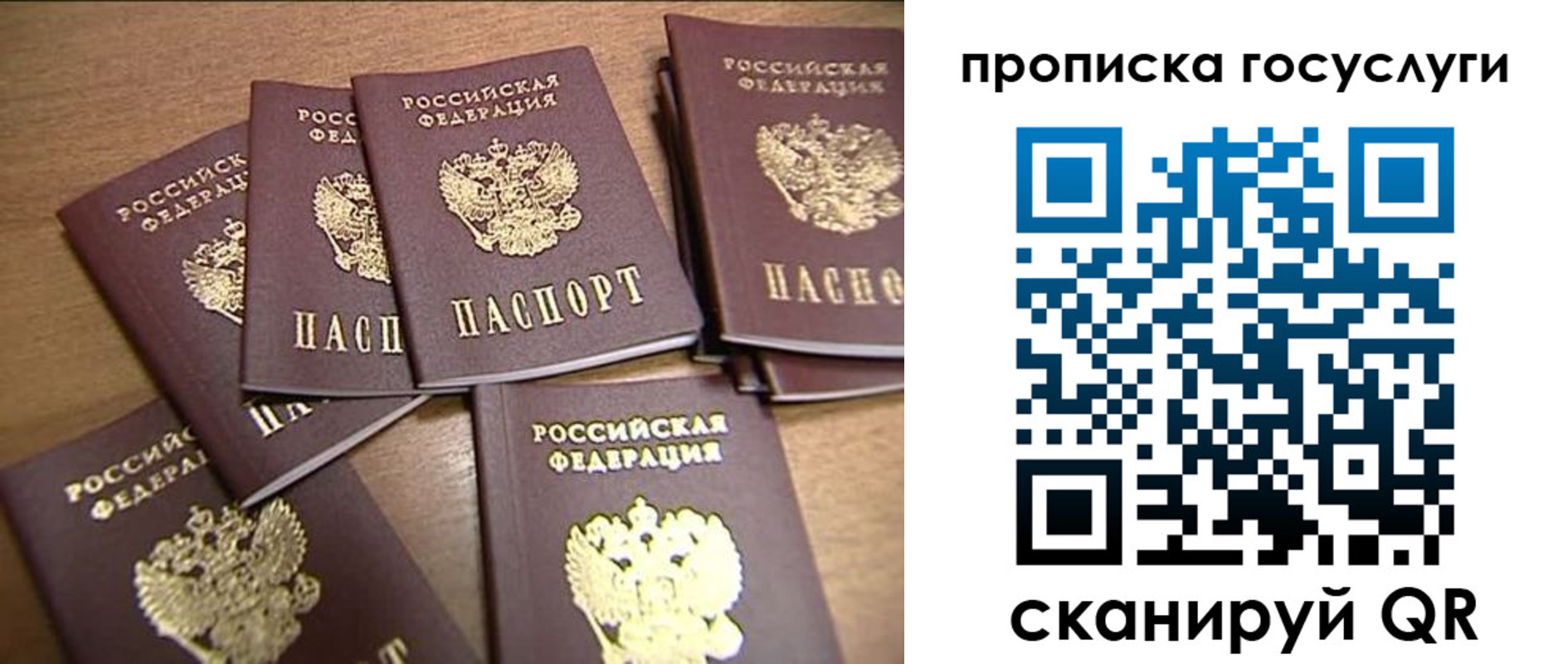прописка ребенка в Светлом